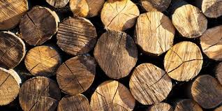 Image result for kayu