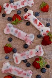 yogurt and berries dog treats gemma s