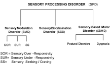 Image result for icd 10 code for sensory disorder