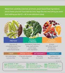 plant based vegan protein powder non