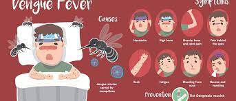 Children under the age of 1 are more at risk. Dengue Fever In Children Symptoms Treatment And Prevention Dettol