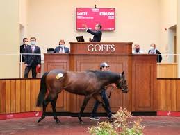 Find ⏰ opening times for goffs bloodstock sales (uk) ltd in sandall beat road, doncaster, south yorkshire, dn2 6jp and check other details as well, such as: Kingman Colt Tops Goffs Uk Breeze Up Sale Bloodhorse