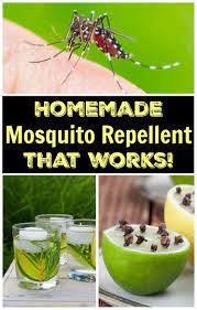 homemade mosquito repellent that works