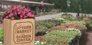 joe s farm market and garden center home