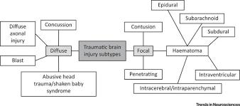 Classification Of Traumatic Brain Injury Physiopedia