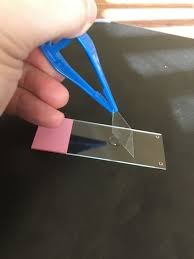 microscope slide preparation