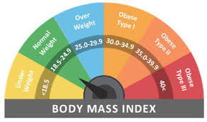 Realistic Adult Bmi Chart Weight Chart For Older Females