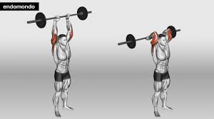 barbell arm workout guide to powerful