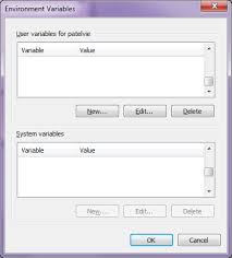 how to set environment variable without