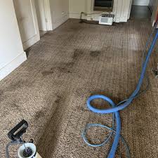 carpet cleaning near homewood al