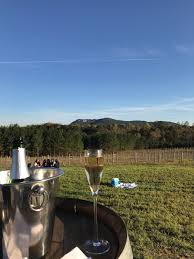 Veronet Vineyard Winery Kings Mountain 2019 All You