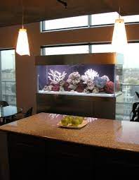 Home Aquarium - The Live Art from Your Room gambar png