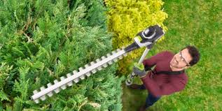 gtech ht50 cordless hedge trimmer