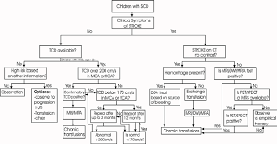 The Flow Chart Proposes An Neuroimaging Algorithm For