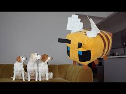 This episode of minecraft in real life shows how hard getting honey from a hive should be!2nd channel | htt. çŠ¬ ãƒãƒ£ãƒ³ãƒãƒ« Jp