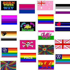 High quality pansexual flag gifts and merchandise. Lgbt Gay Pride Flags 5x3 Rainbow 50 Designs Bisexual Transgender Pansexual Ebay