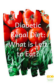Renal diet protocol and eating plan. Diabetic Renal Diet Renal Diet Kidney Disease Recipes Kidney Disease Diet Recipes