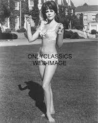 SEXY HOT ACTRESS NATALIE WOOD IN BIKINI SWIMSUIT 8X10 PHOTO PINUP  CHEESECAKE | eBay