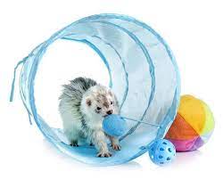 best toys for pet ferrets