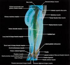 Iliotibial band syndrome rehabilitation exercises you may do all of these exercises right away. Quantitative Analysis Of The Relative Effectiveness Of 3 Iliotibial Band Stretches Archives Of Physical Medicine And Rehabilitation