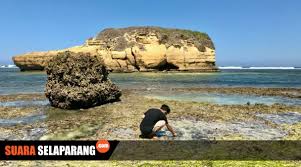 Tiket masuk di pantai kura kura : Pantai Kura Kura Potongan Surga Tersembunyi Di Sudut Lombok Timur Selatan