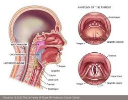 Signs of throat cancer may first be found by a dentist or doctor biopsy: Throat Cancer Md Anderson Cancer Center