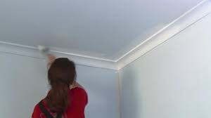 how to paint a ceiling bunnings australia