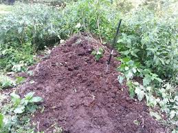 what is the best natural worm bedding