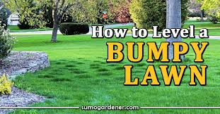 How To Level A Py Lawn Causes And