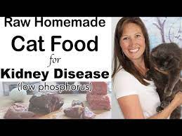 homemade cat food for kidney disease