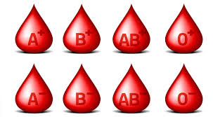 blood type t