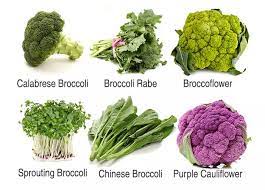 https://www.stylecraze.com/articles/benefits-of-broccoli-for-skin-hair-and-health/ gambar png
