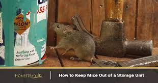 self storage greeley how to keep mice