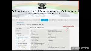 How To Use Company Cin In Mca Portal Know About Company Biodata From Its Cin