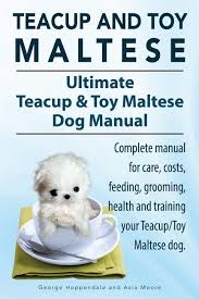 teacup maltese and toy maltese dogs
