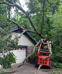 If a home is surrounded by trees, gutters will need to be cleaned more often. Ez Out Tree Service Reliable And Affordable Tree Services In Lawrenceville Ga And Surrounding Areas