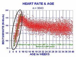 Heart Rate Wikipedia