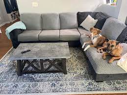15 best pet friendly couches to in 2024