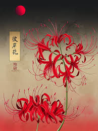 spider lily hd wallpapers pxfuel