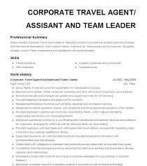 corporate travel consultant resume exles