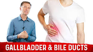 abdominal pain right side dr berg