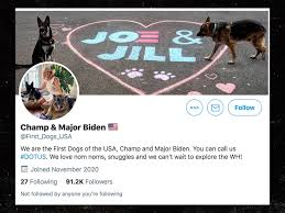 'well, i'd love to get a cat. Joe Biden S Family Dogs Get Their Own Twitter Account