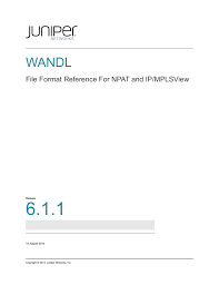 6 1 1 Wandl File Format Reference For Npat And Ip Mplsview