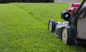 How much does lawn mower repair cost near me? Lawn Mower Repair Sales Mesa Gilbert And Queen Creek