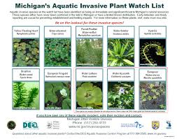 Plm News Plant Watch List Plm Lake And Land Management Corp