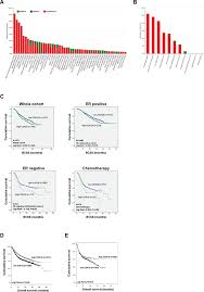 Oncotarget The Relationship Of Cdk18 Expression In Breast