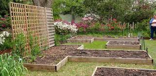 Raised Garden Beds Why You Ll Want