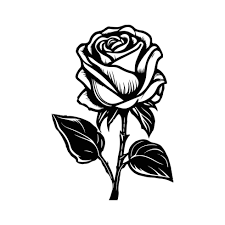 roses red roses black silhouette vector
