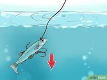 Do you use bait when jigging?