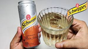 schweppes ginger ale 330ml drink